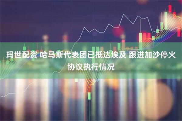 玛世配资 哈马斯代表团已抵达埃及 跟进加沙停火协议执行情况